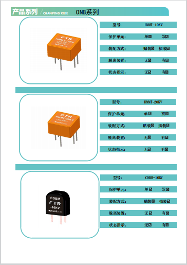 电涌保护器(HMMT-10KV,HMMT-20KV,COBM-10KV)